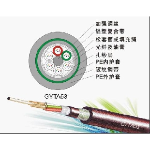 標準松套管加強鎧裝光纜（GYTA53）