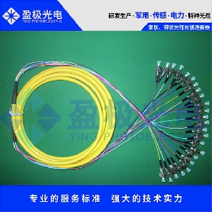 束狀、帶狀光纖光纜連接器組件